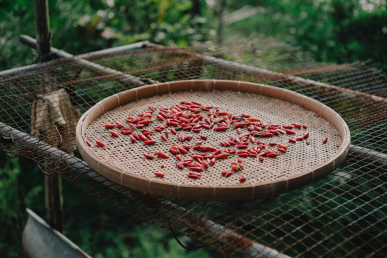 entdecken sie verschiedene kochmethoden, die ihre küche bereichern werden. von traditionellem kochen bis hin zu modernen techniken bieten wir ihnen tipps und tricks, um köstliche gerichte zuzubereiten und ihre kochkünste zu verbessern.