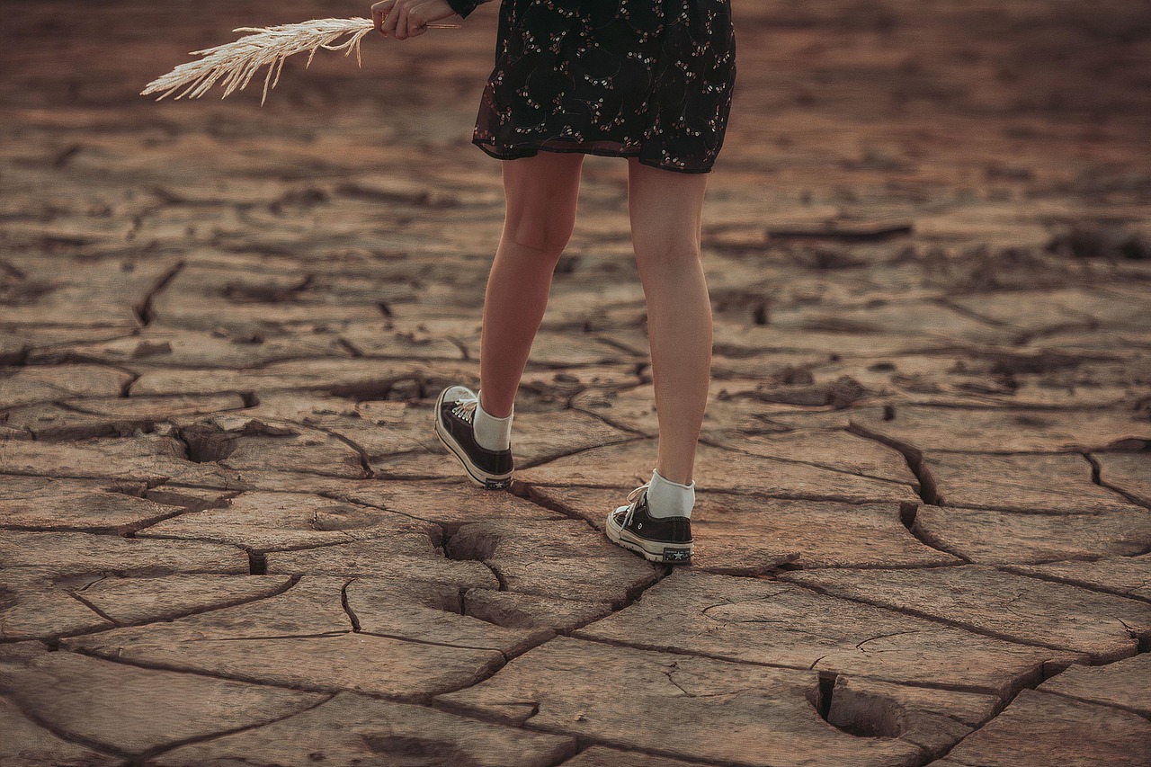 der demografische wandel ist ein wichtiger gesellschaftlicher prozess, der die bevölkerungsstruktur und -dynamik verändert. er umfasst aspekte wie geburtenraten, altersverteilung und migration und hat weitreichende folgen für wirtschaft, soziales und politik.