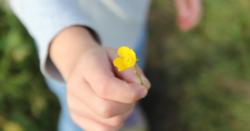 Die schönsten Sprüche zum Nikolaustag: Lustige & herzerwärmende Ideen für Karten