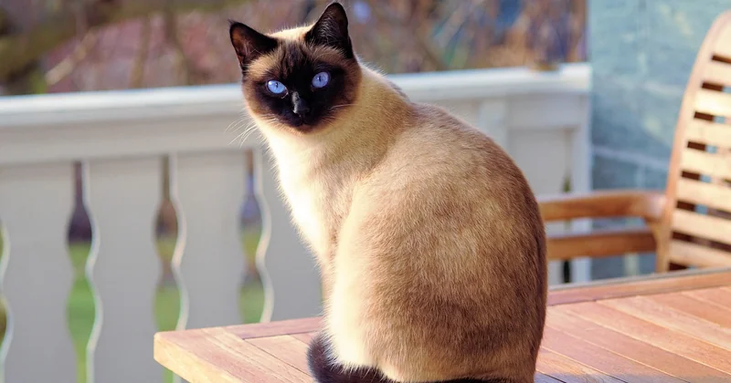 Lustige Verabschiedungen in Mail und Chat